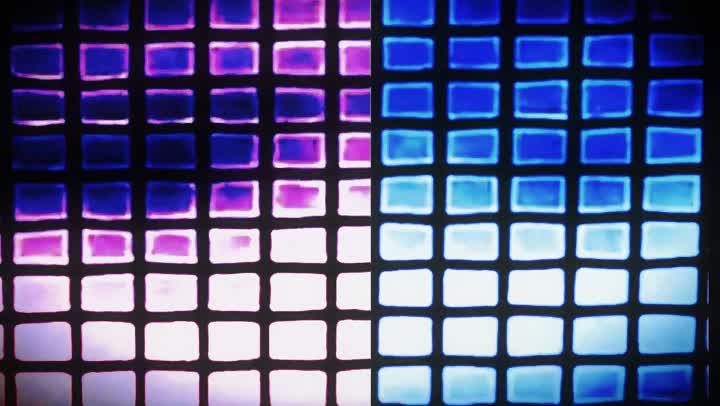 Contrasting blue and violet light-grid states