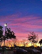 Purple sunset sky