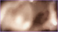 SHIFT · light diffusion
