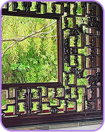 Framed greenery